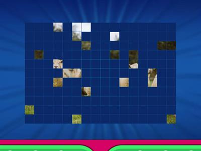 Wild Or Not image quiz