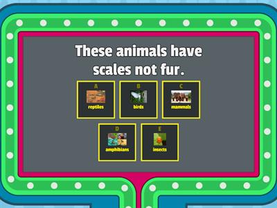 Animals Classification