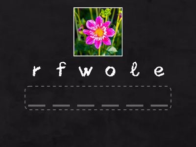 Shine on 3 unit 3 part 1 game 2