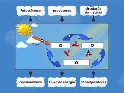 Liga ao lugar certo! Matéria e Energia no Ecossistema