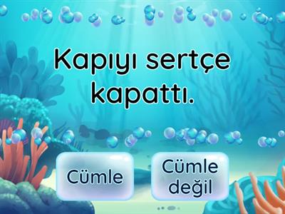 CÜMLE BİLGİSİ