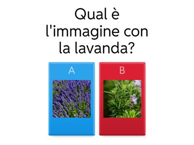 Open Day - Primaria 2025