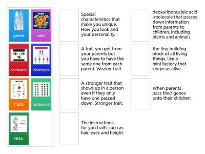 Unit 6 Family - Science 