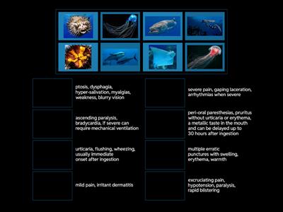 Marine Envenomations!