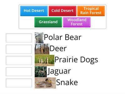 Land Habitats