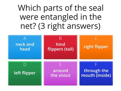 Questions listening comprehension exercise