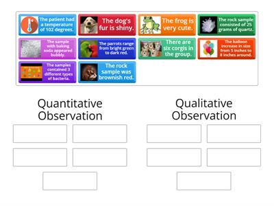 Qualitative/ Quantitative Wheel Observations