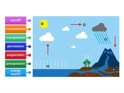 The Water Cycle
