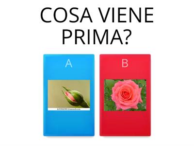 PRIMA?