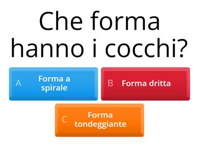 Classe quarta - QUIZ Virus e Batteri