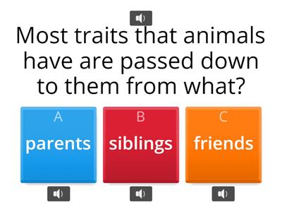 Variation of traits quiz