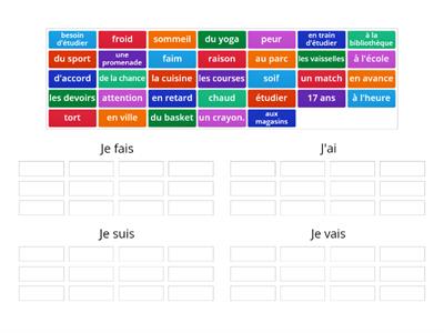 Expressions with avoir, être, aller, and faire