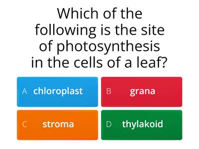 Pre-Test (SLK Photosynthesis)