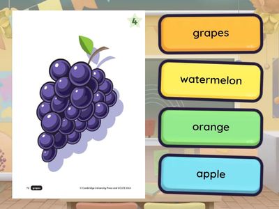  PU0-U3-单词1-选词