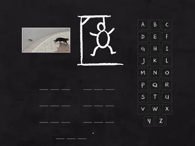 Barton 2.2 Hangman