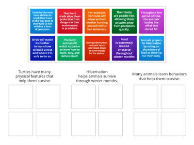  Main Idea and Supporting Statement Sort