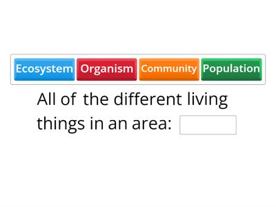 Levels of Organization Vocbaulary