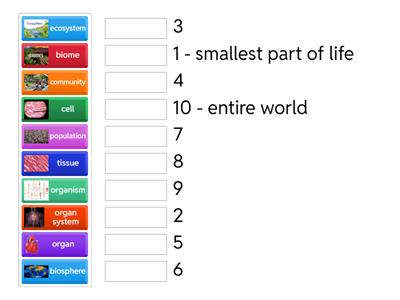 Levels of Organization Sorting