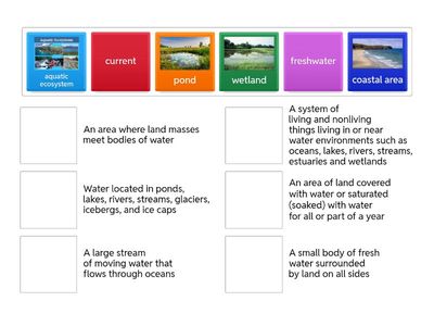 Topic 3 Lesson 2 Vocabulary Practice 6th Grade SAVVAS