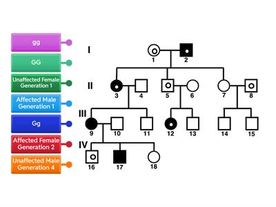 Tart Pedigree Chart-Recessive Trait