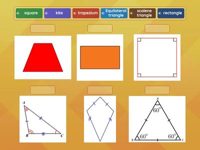Triangles and Quadrilaterals