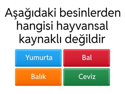 4. SINIF FEN BİLİMLERİ BESİNLER TESTİ