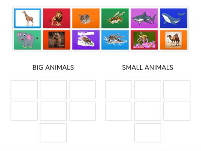 K4- SCIENCE LESSON 47- CLASSIFY THE ANIMALS ACCORDING TO THEIR SIZES(BIG OR SMALL)