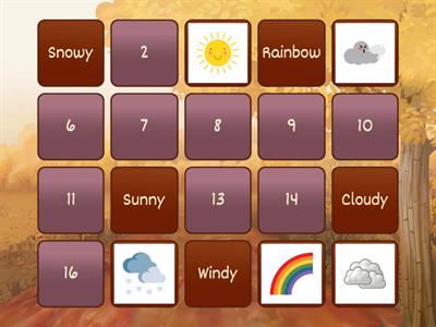 Weather