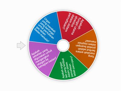 Sistem respirasi manusia (beginner)