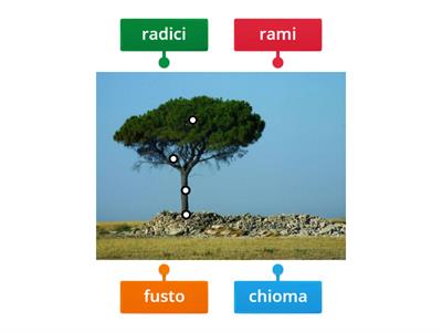 3 Modello- immagini con etichette