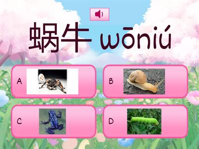 китайский животные (гусеница...)