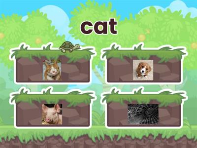 CVC word Jungle Game