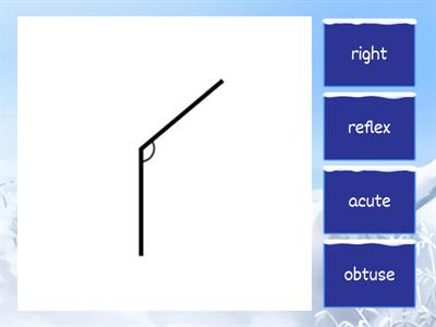 Describing Angles