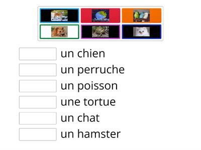 Les animaux