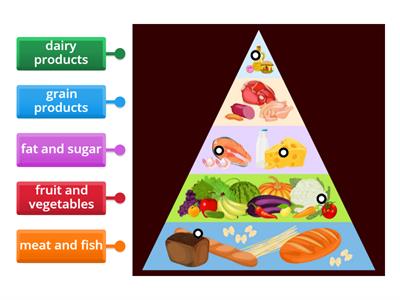 food pyramid