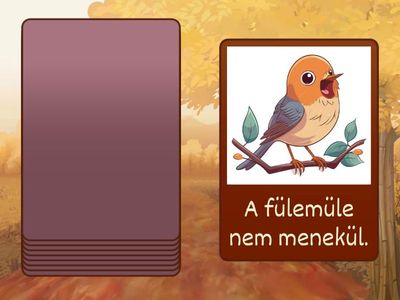 ű hang automatizálás - mondatok