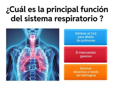 Sistema Respiratorio 