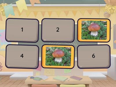 Без названия2