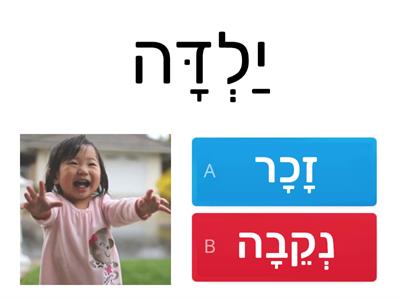 זכר נקבה 