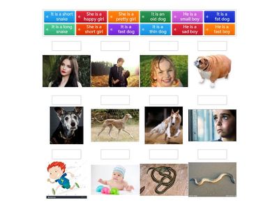 English World 1 Unit 4 adjectives