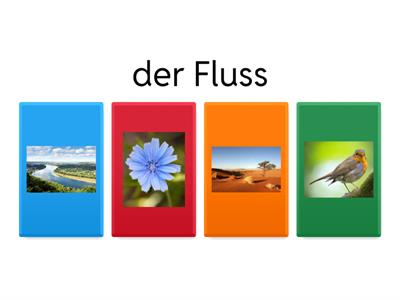 Die Natur und die Landschaften