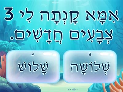 שם מספר