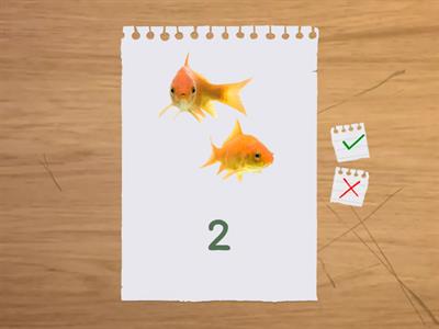 Fish Counting 1-5
