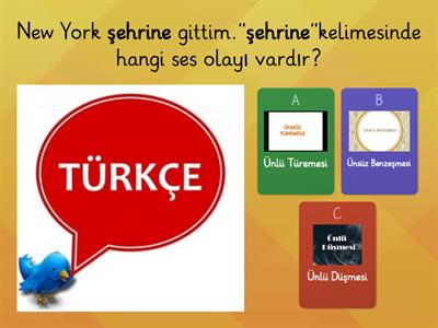 5.Sınıf Tüm Dersler