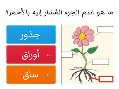 مراجعة علوم - ثالث ابتدائي