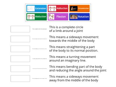 Range of Movements - Match Up 