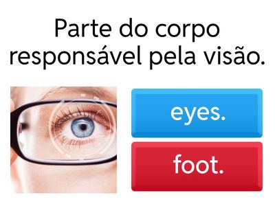 quiz parts of the body