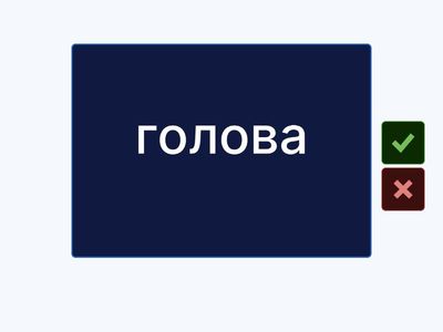 GI A1+ U2. Appearance