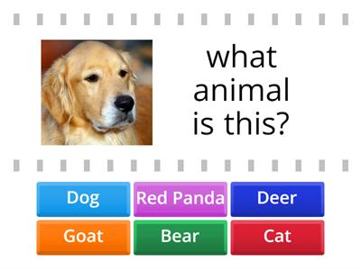 Guess the Animals
