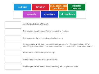 Diffusion Through a Membrane